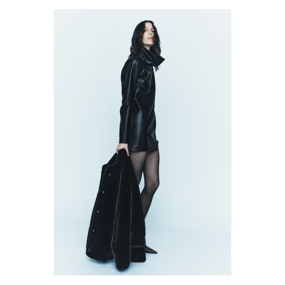 Zara High Collar Minj Dress - Picture 4 of 6